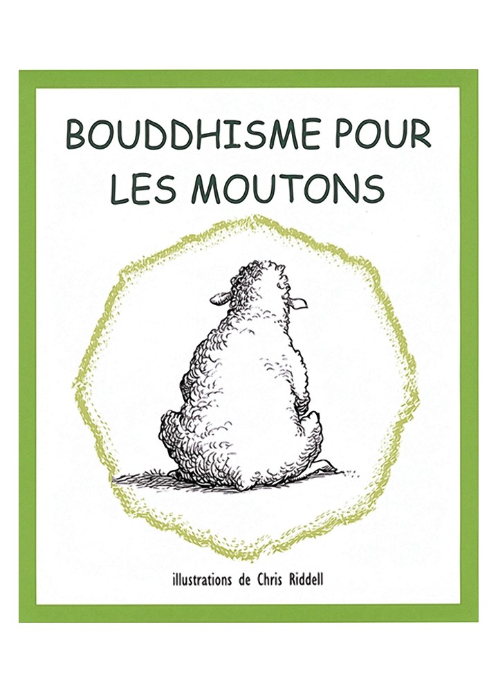 Livre bouddhiste des éditions Claire Lumière. humour, karma bouddhisme.