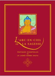 Livre des éditions Claire Lumière. Bouddhisme tibétain. pratique