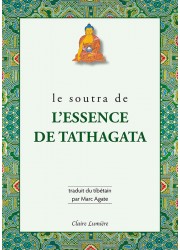 Livre des éditions Claire Lumière. Bouddhisme tibétain. Atteindre l'éveil